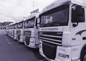 Camión transporte internación Saplama