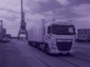 Transporte Internacional de mercancías - Saplama
